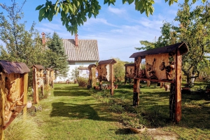 From Belgrade: Golubac Fortress and Iron Gate Gorge Tour