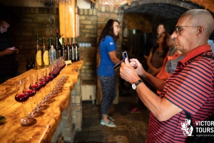 From Belgrade: Novi Sad & Sremski Karlovci Full-Day Tour