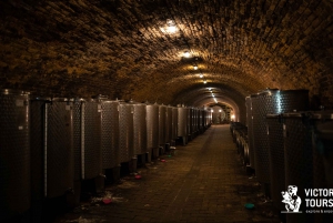 From Belgrade: Novi Sad & Sremski Karlovci Full-Day Tour