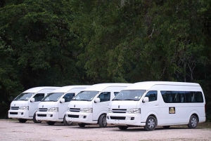 From Belize: One-Way Shared Shuttle to San Ignacio