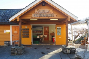 グラスゴー：セルティック パーク スタジアム ツアーとダイニング体験