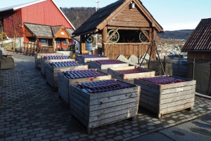 グラスゴー：セルティック パーク スタジアム ツアーとダイニング体験