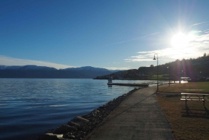 グラスゴー：セルティック パーク スタジアム ツアーとダイニング体験