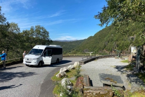 グラスゴー：セルティック パーク スタジアム ツアーとダイニング体験