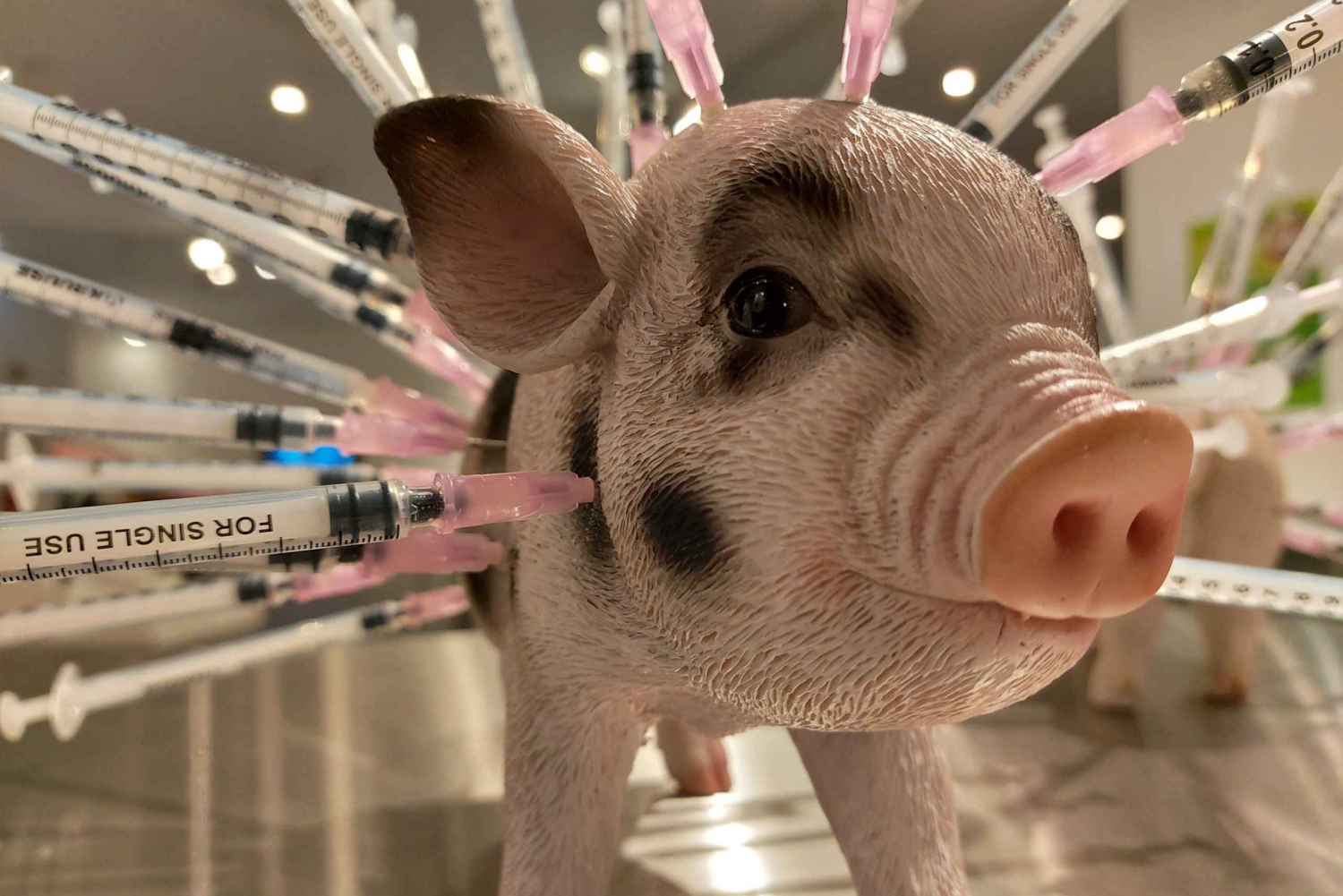 Berlin: bilet wstępu do muzeum obrzydliwej żywności i degustacja