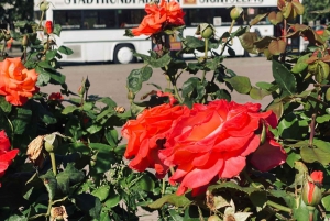 Berlin: Hop-on Hop-off Bus Tour with Live Commentary