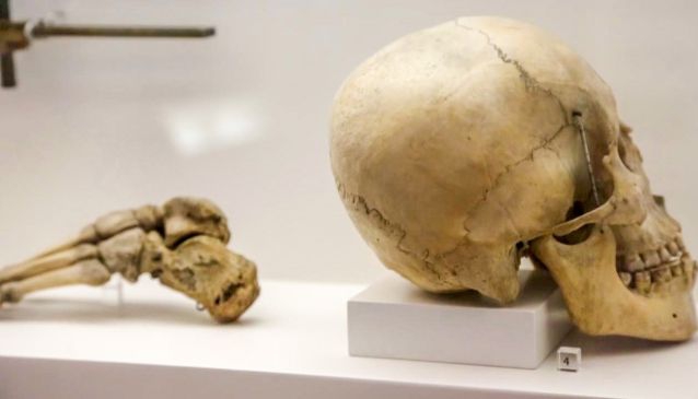 Berlin Museum of Medical History