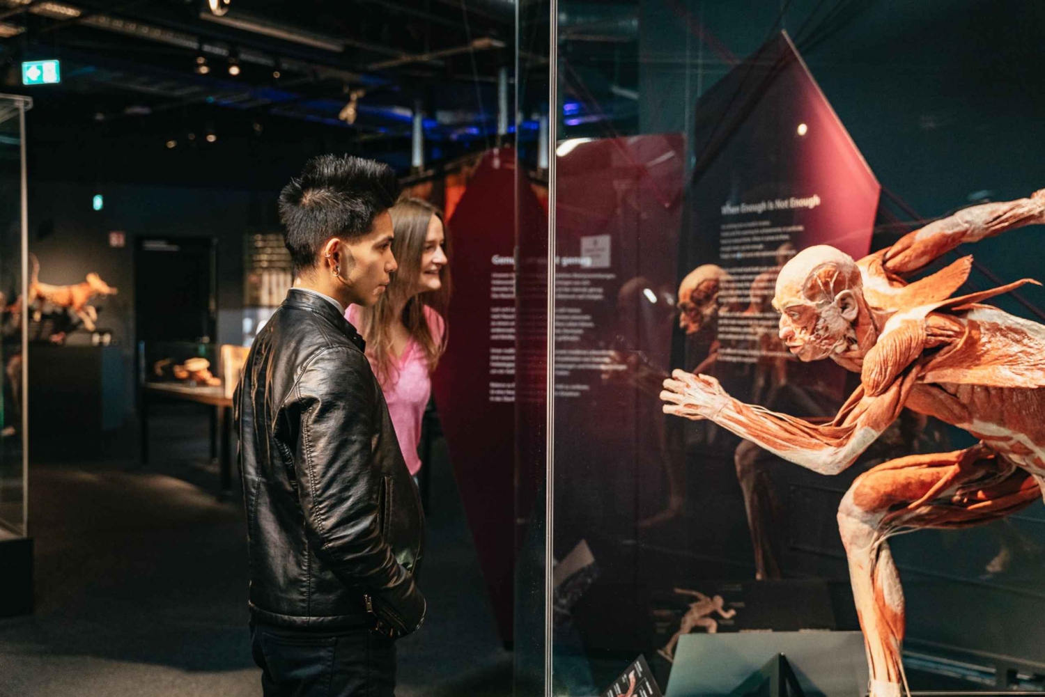 Berlin: Biljetter till BODY WORLDS-museet i Berlin
