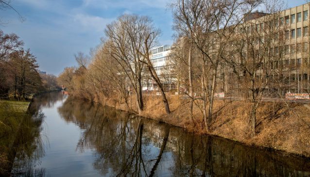 Parks and Gardens Along the River Spree
