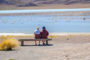 From La Paz: 5-Day Death Road & Uyuni Salt Flats Bike Tour