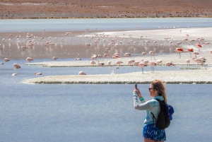 From La Paz: 5-Day Death Road & Uyuni Salt Flats Bike Tour