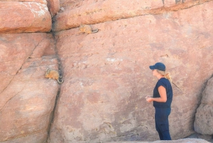 From La Paz: 5-Day Death Road & Uyuni Salt Flats Bike Tour