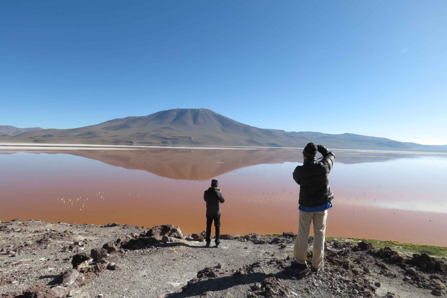 Z Uyuni: Prywatna jednodniowa wycieczka Laguna Colorada.