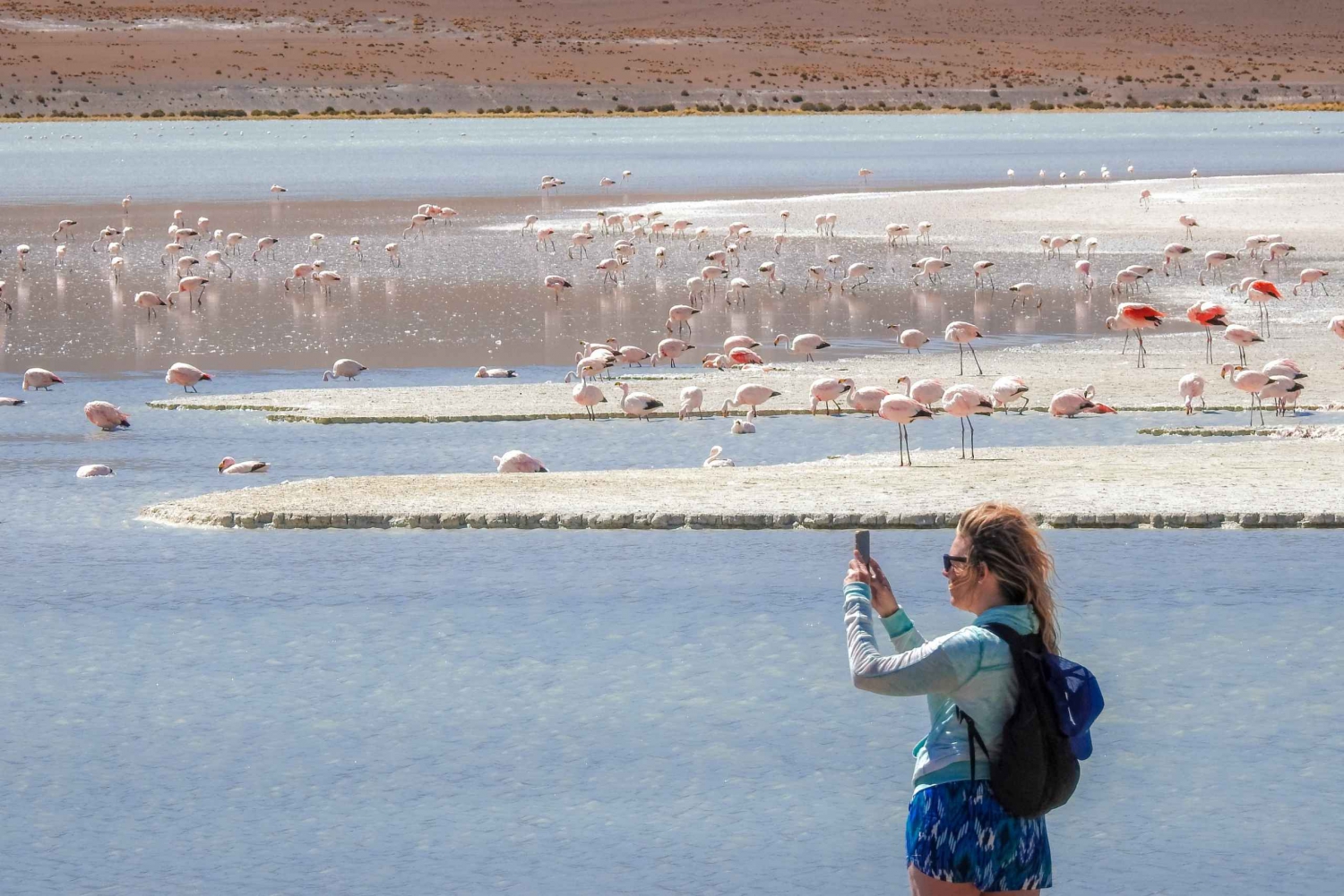 From Uyuni: Red Lagoon & Uyuni Salt Flats 3-Day Guided Tour