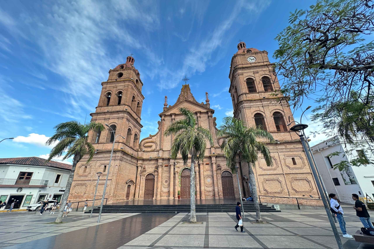 Guided Street Food Tour: Santa Cruz de la Sierra