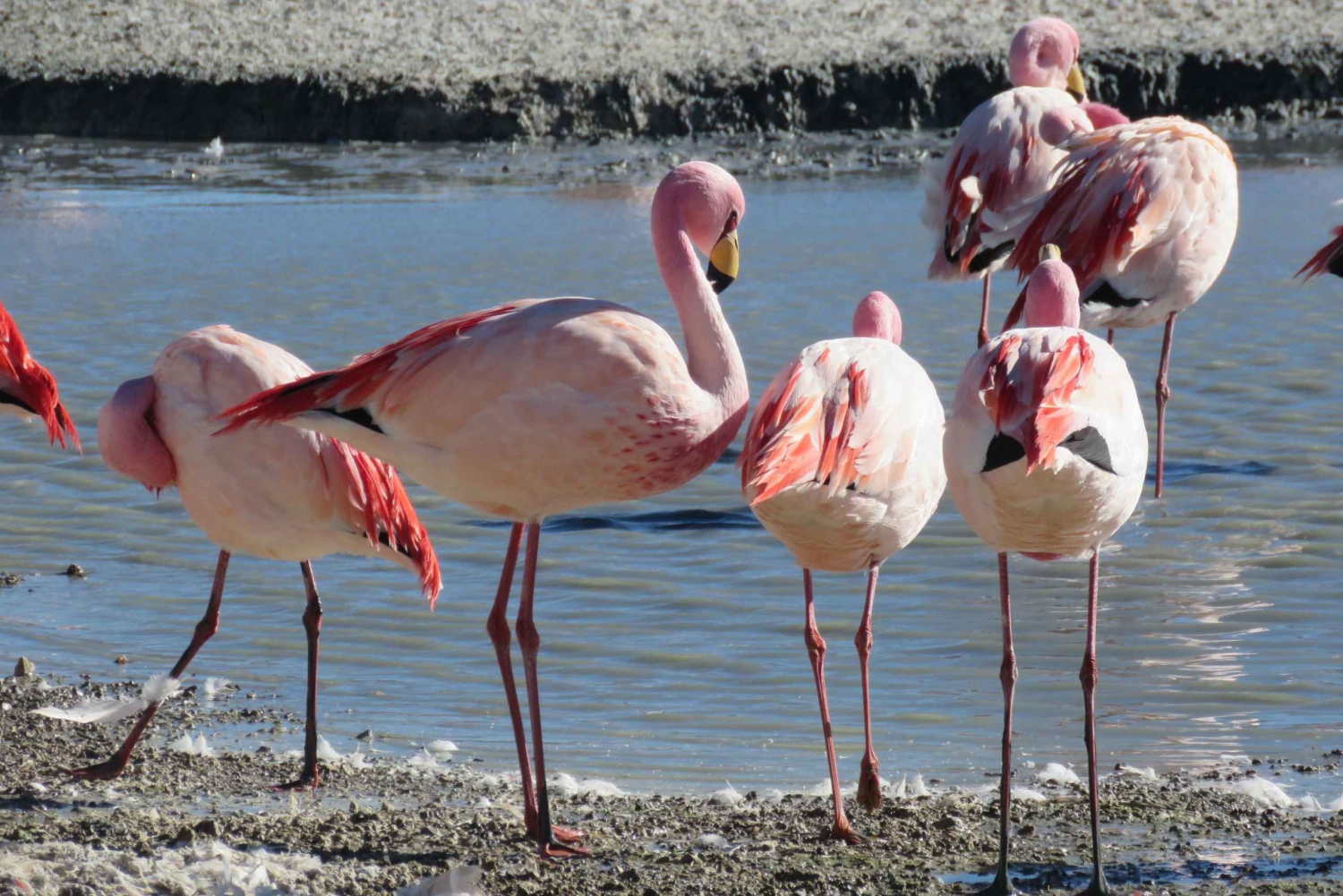 La Paz: 6-Day Private Best-of-Bolivia Tour with Flights