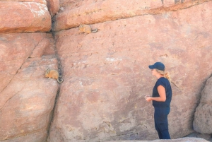 La Paz: Uyuni Salt Flats & San Pedro de Atacama 3-Day Tour