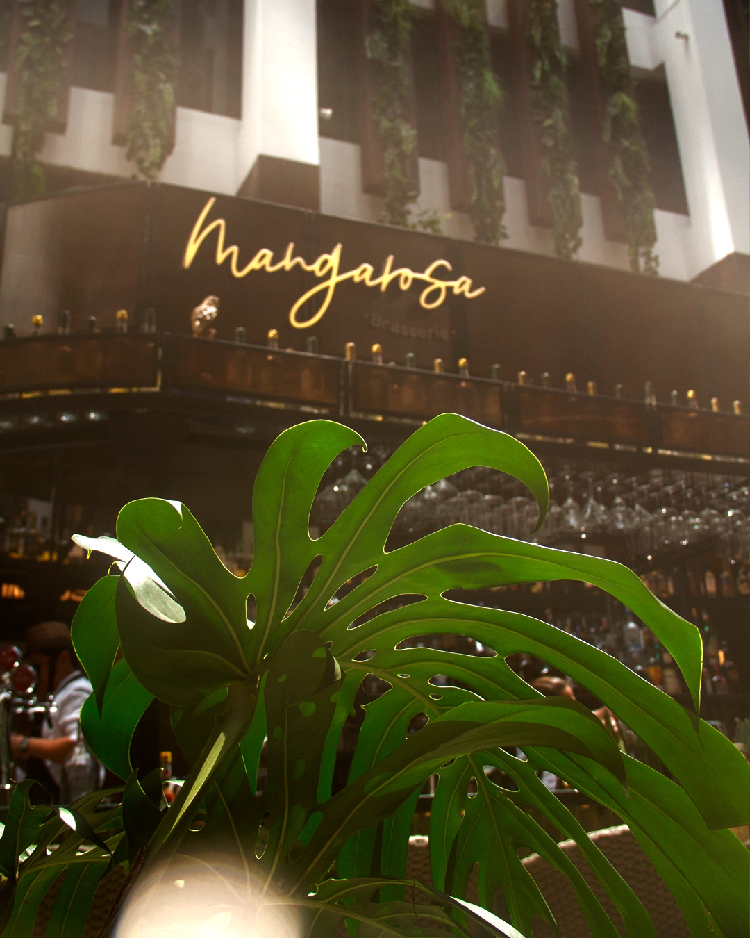 Best Brunch for breakfast lovers in Santa Cruz