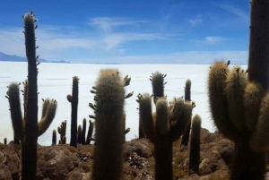 Viaje de ida y vuelta al Salar de Uyuni y las Lagunas de Colores