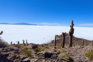 SALAR DE UYUNI:,retket majesteettiselle Uyunin suolatasangolle