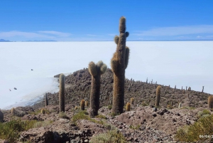 SALAR DE UYUNI:,retket majesteettiselle Uyunin suolatasangolle
