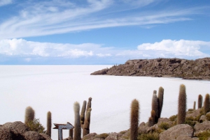 Uyuni: Salt Flats and Sunset Guided Tour with Lunch