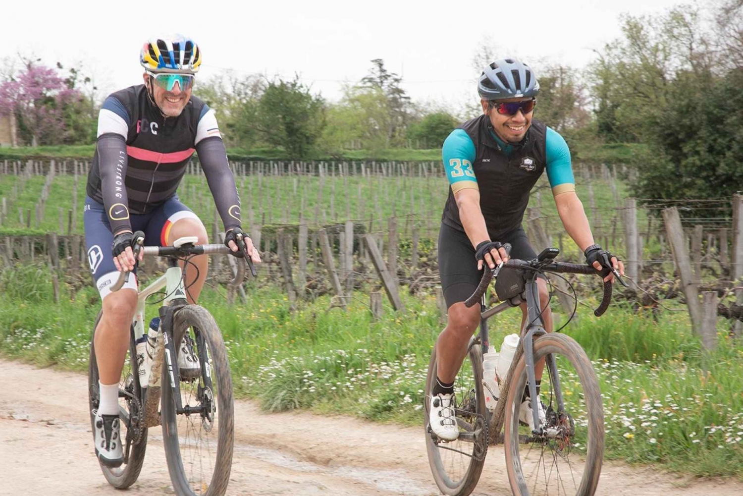 Бордо на велосипеде по гравийным дорожкам: памятники, виноградники и дегустация вин