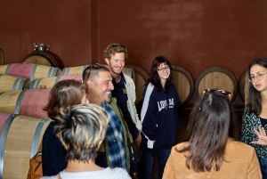 Bordeaux : visite d'une demi-journée à Margaux avec dégustation de vins