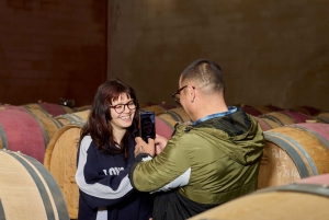 Bordeaux : visite d'une demi-journée à Margaux avec dégustation de vins