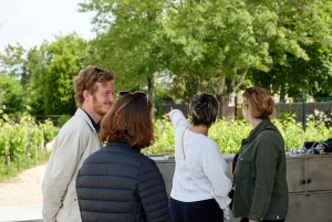 Bordeaux : visite d'une demi-journée à Margaux avec dégustation de vins