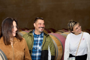 Bordeaux : visite d'une demi-journée à Margaux avec dégustation de vins