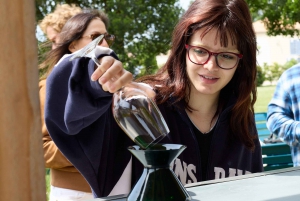 Bordeaux : visite d'une demi-journée à Margaux avec dégustation de vins