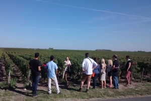 Bordeaux : visite d'une demi-journée à Margaux avec dégustation de vins