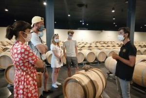 Bordeaux : visite d'une demi-journée à Margaux avec dégustation de vins