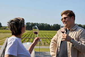 Бордо: Сент-Эмильон и Медок, винный тур на целый день