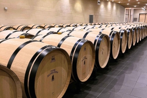 Бордо: тур на электровелосипеде по виноградникам Сент-Эмильона с вином и обедом