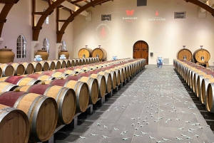 Бордо: тур на электровелосипеде по виноградникам Сент-Эмильона с вином и обедом