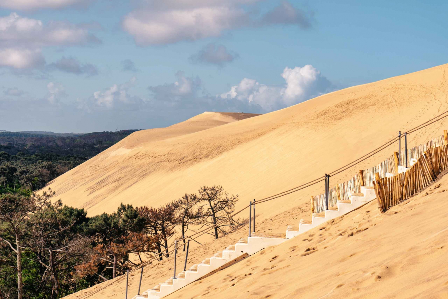 Vanuit Bordeaux: Dagvullende tour door de baai van Arcachon en oesterlunch