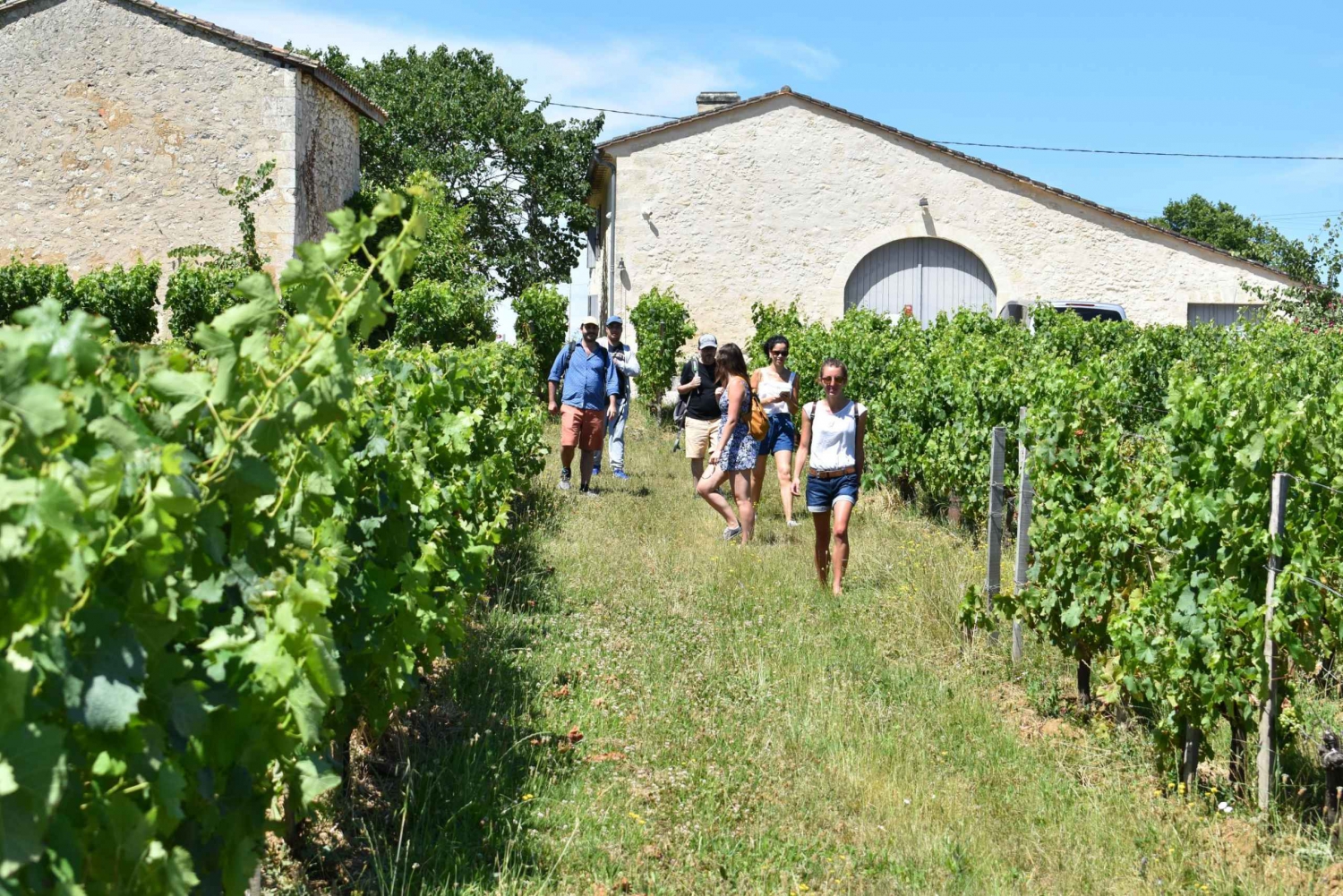 Från Bordeaux: Halvdagsutflykt till Saint-Émilion och vinprovning