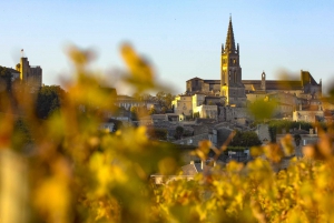 De Bordéus: Excursão de meio dia a St. Emilion Village