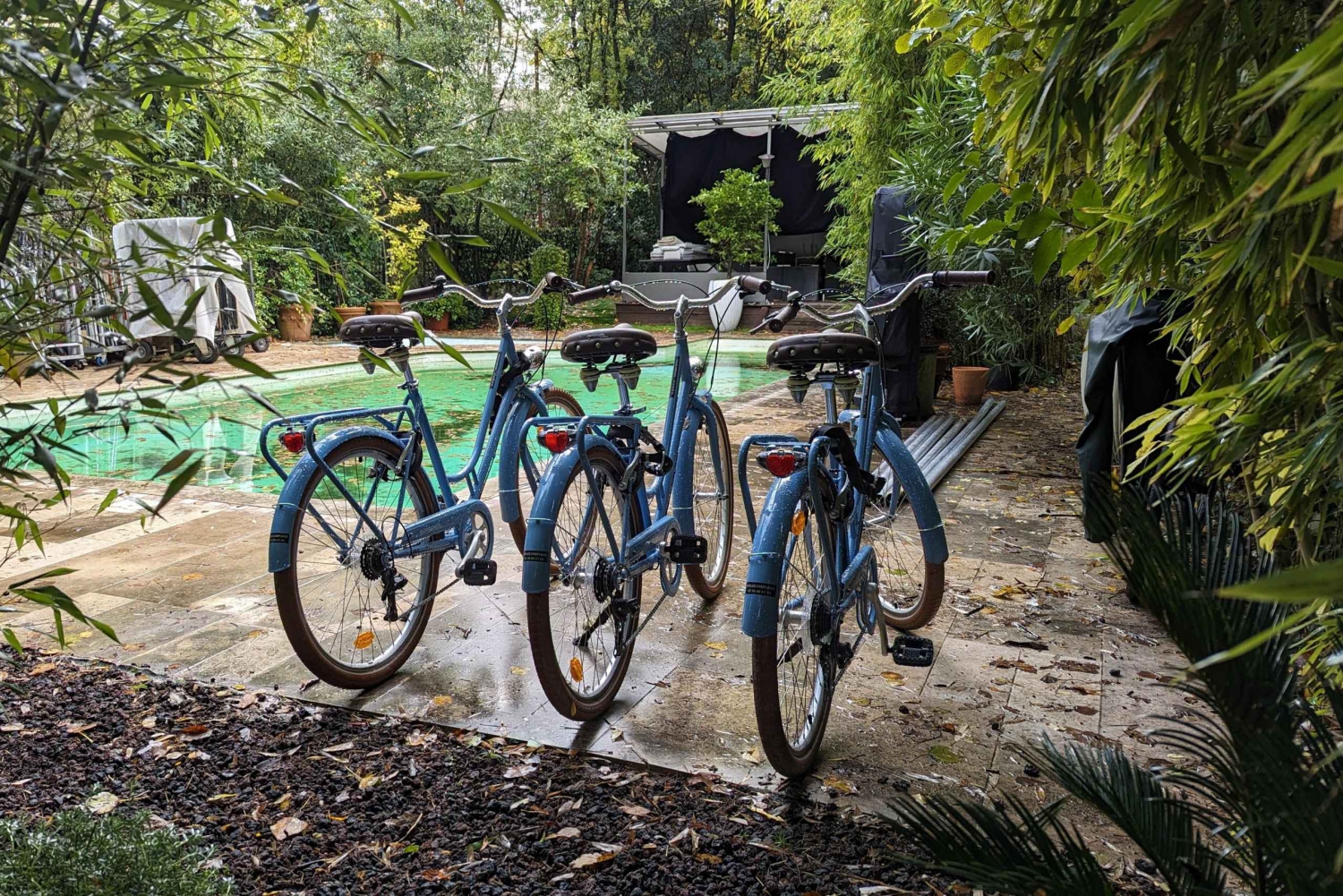 Бордо: Исторический велотур по трем мостам