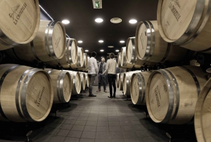 Saint-Émilion: Visita e prova de vinhos Grand Cru Classé