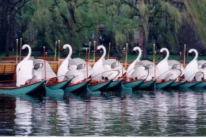 Boston: Go City All-Inclusive Pass with 45+ Attractions