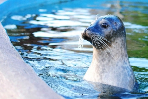 Boston: Go City Explorer Pass including 2 to 5 Attractions