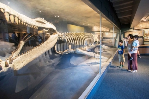 Boston: Go City Explorer Pass including 2 to 5 Attractions