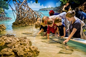 ボストン：ニューイングランド水族館入場 + オプションのサイモンズシアター