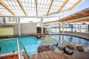 ボストン：ニューイングランド水族館入場 + オプションのサイモンズシアター