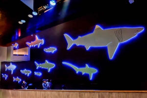 ボストン：ニューイングランド水族館入場 + オプションのサイモンズシアター