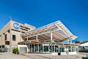 ボストン：ニューイングランド水族館入場 + オプションのサイモンズシアター