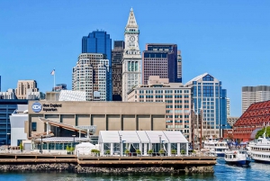 ボストン：ニューイングランド水族館入場 + オプションのサイモンズシアター